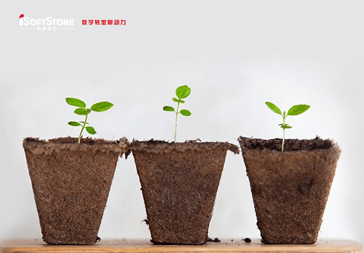 学術的継続可能の革命精神で地方の子供たちに愛を渡す——iSoftStoneは再び公共福祉教育を支援する。。。。